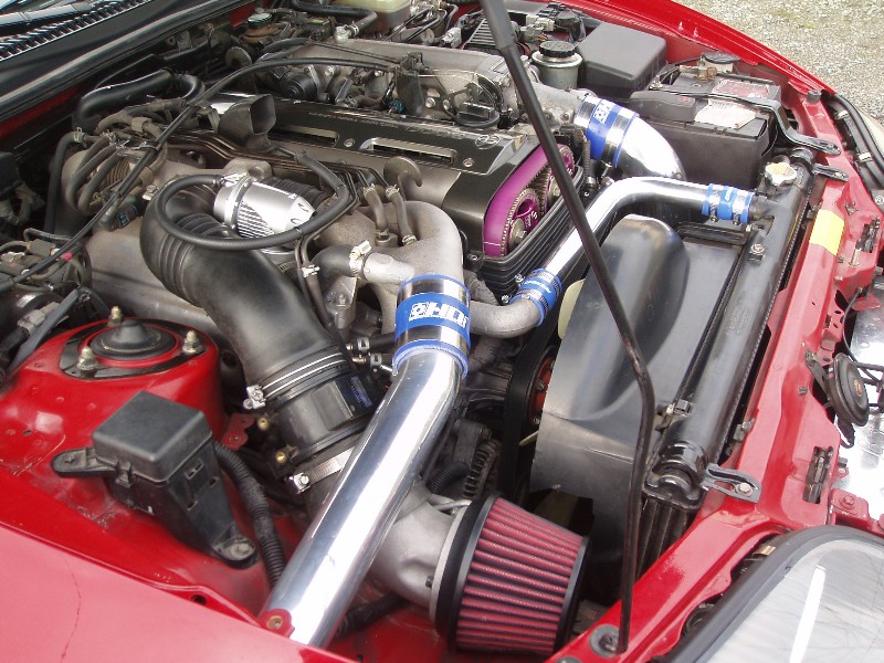 06_800x600.jpg