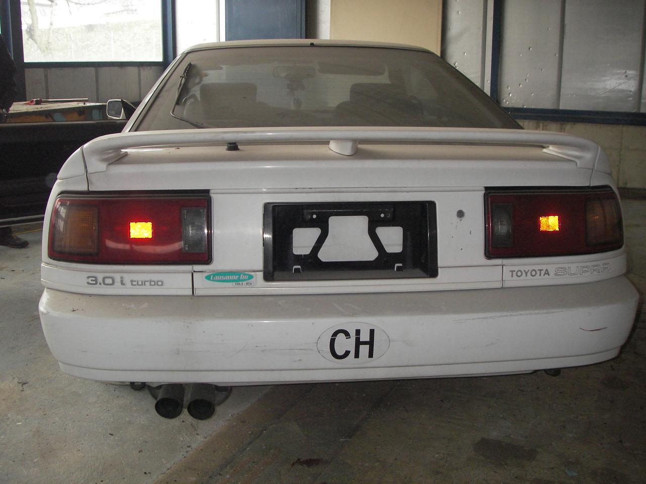 IMGP3874.jpg