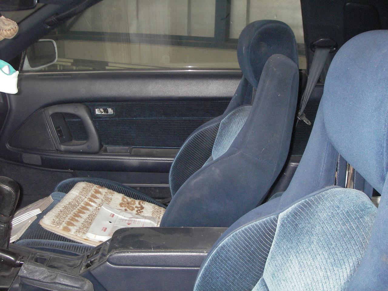 IMGP3877.jpg