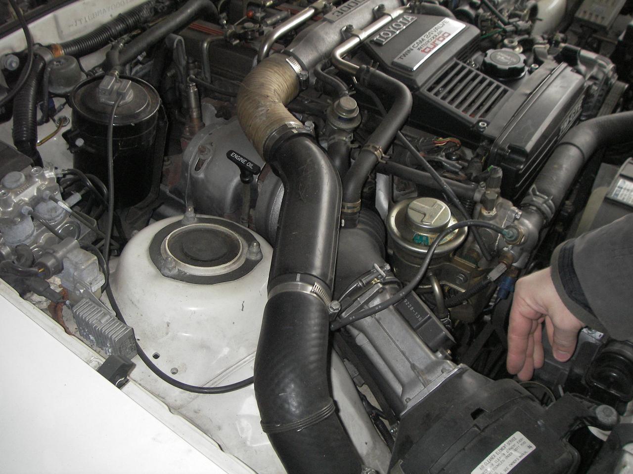 IMGP3871.jpg